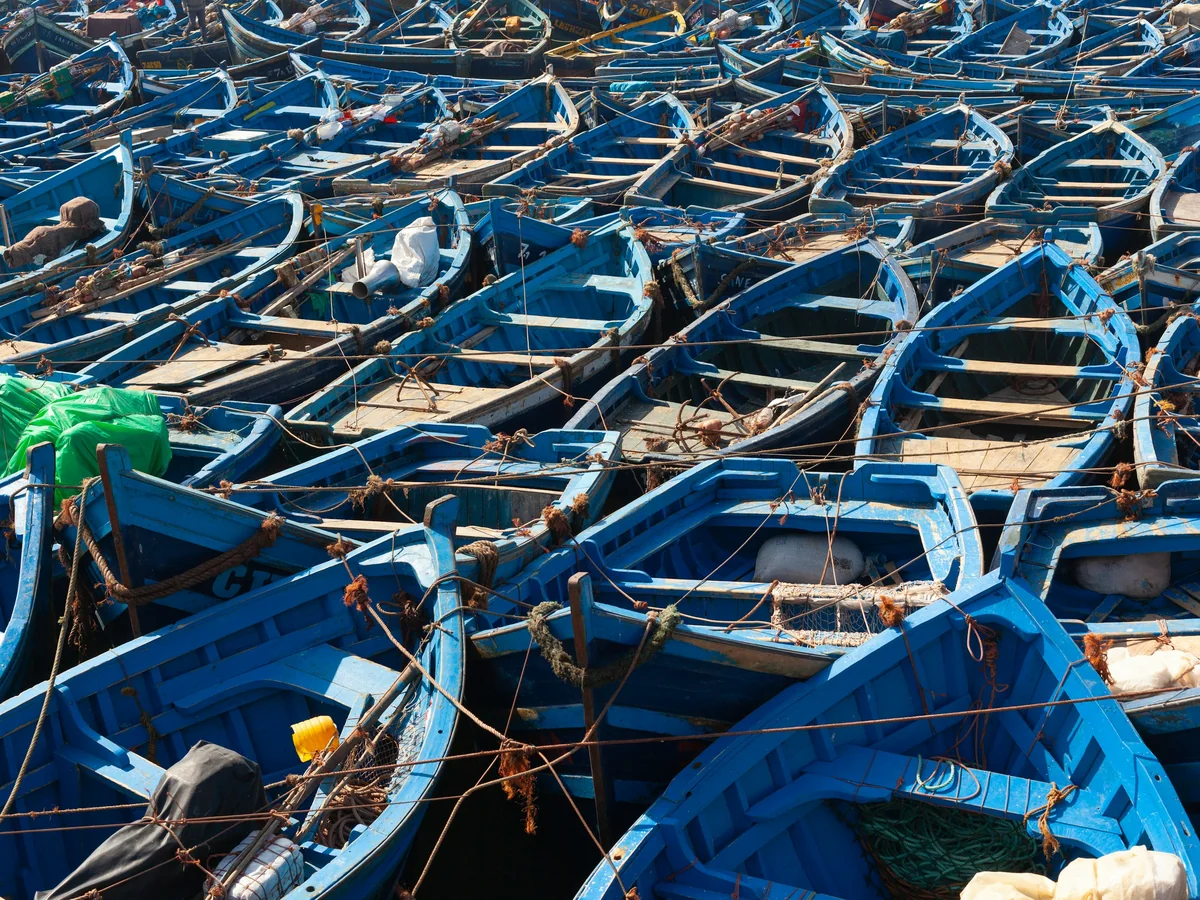 Rows of Essaouira's traditional blue wooden fishing boats packed together in the working harbour